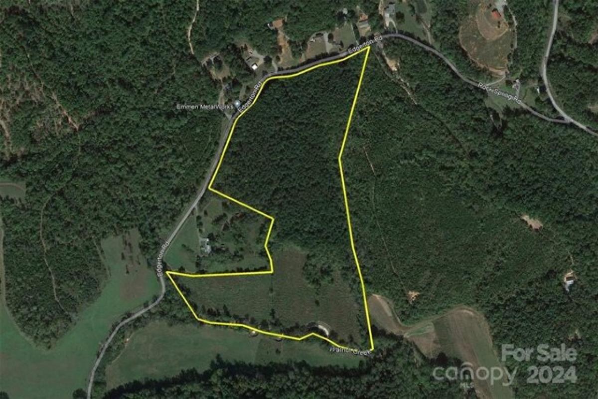 Picture of Residential Land For Sale in Mill Spring, North Carolina, United States