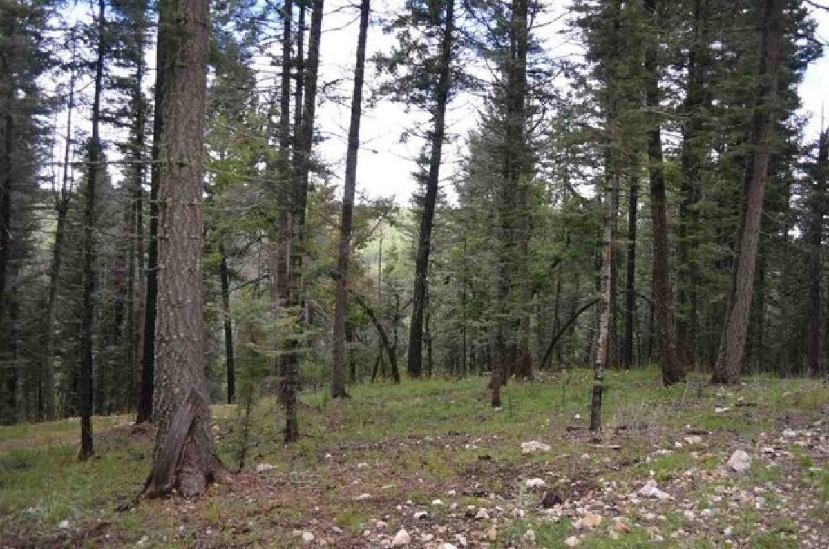 Picture of Residential Land For Sale in Cloudcroft, New Mexico, United States