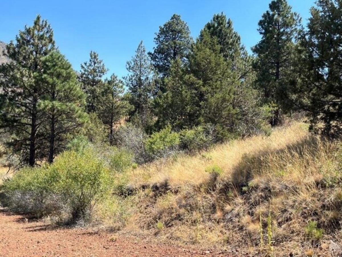 Picture of Residential Land For Sale in Klamath Falls, Oregon, United States