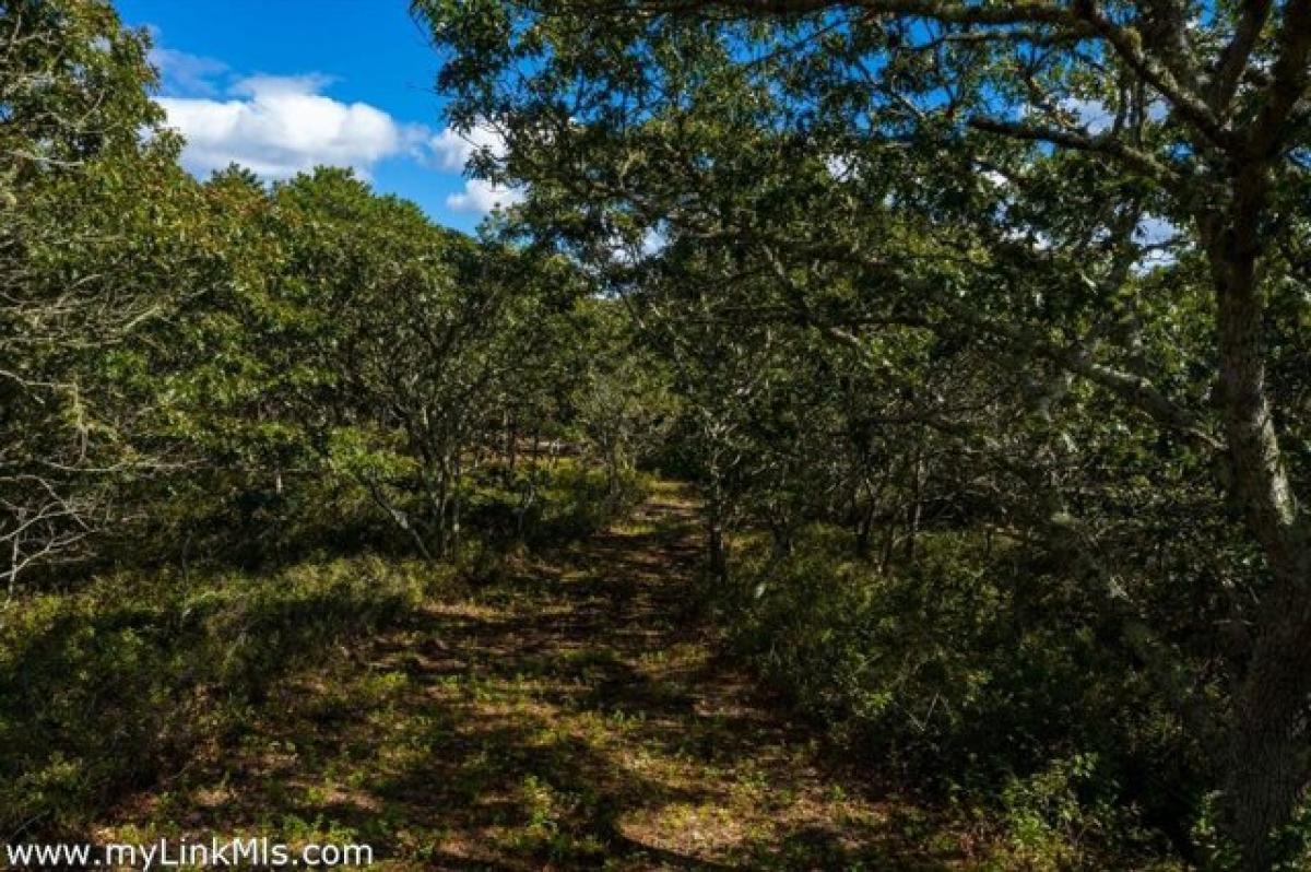 Picture of Residential Land For Sale in Chilmark, Massachusetts, United States