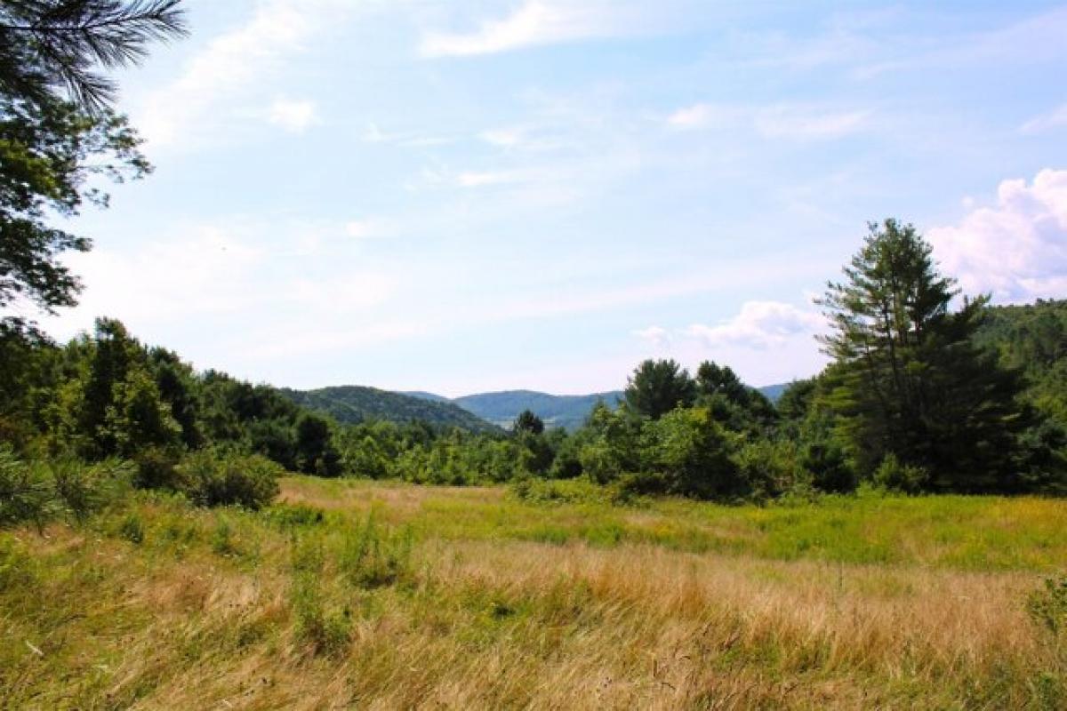 Picture of Residential Land For Sale in Tunbridge, Vermont, United States