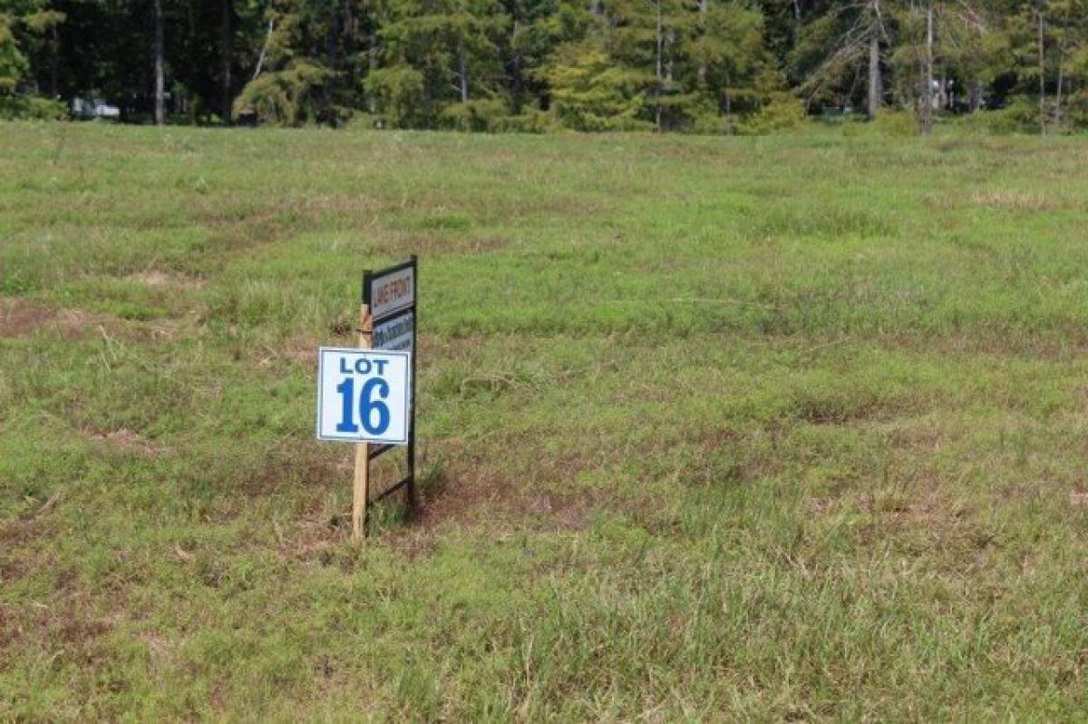 Picture of Residential Land For Sale in Zwolle, Louisiana, United States