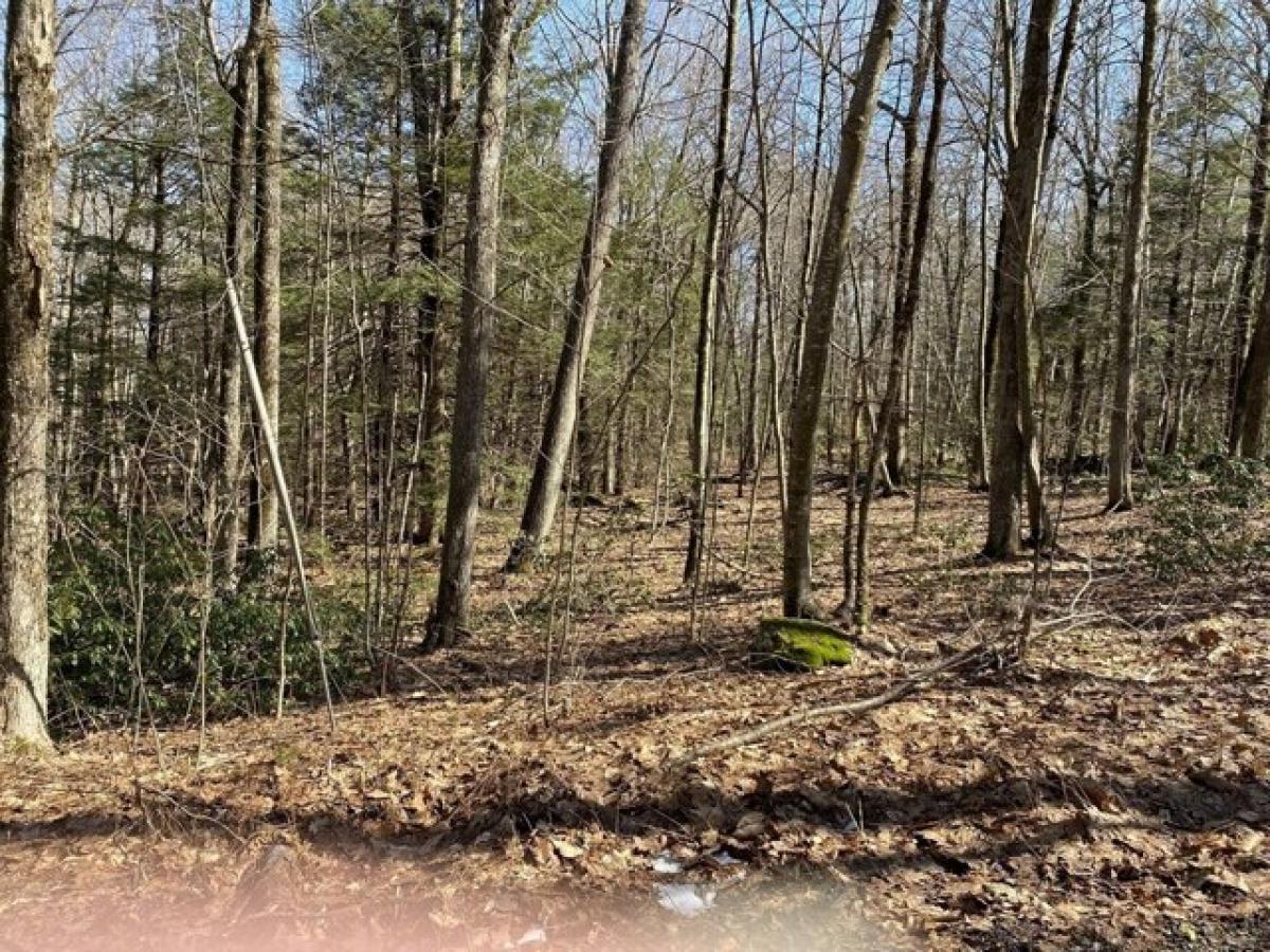 Picture of Residential Land For Sale in New Salem, Massachusetts, United States