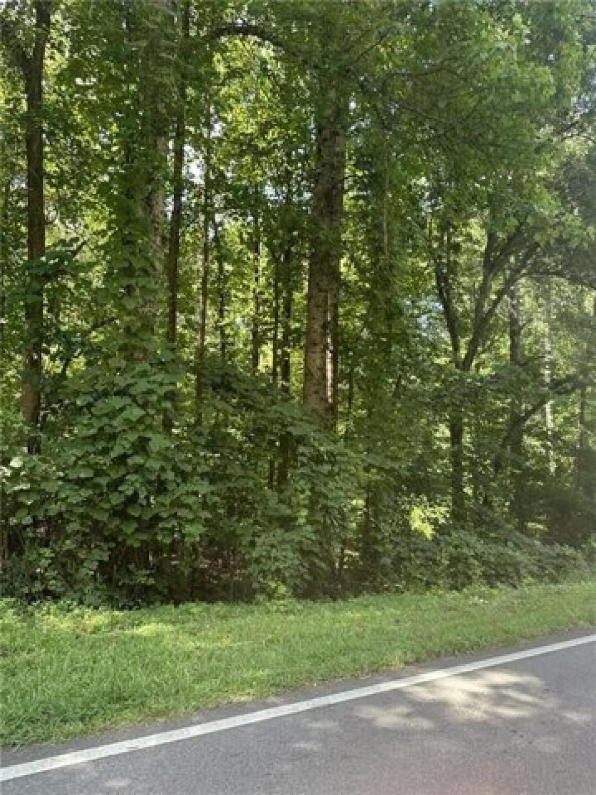 Picture of Residential Land For Sale in Oakwood, Georgia, United States