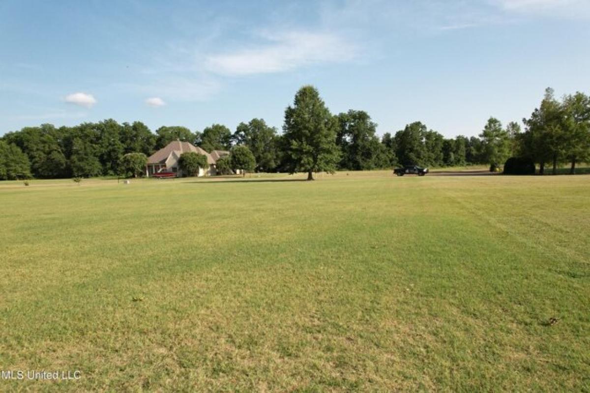 Picture of Residential Land For Sale in Clarksdale, Mississippi, United States