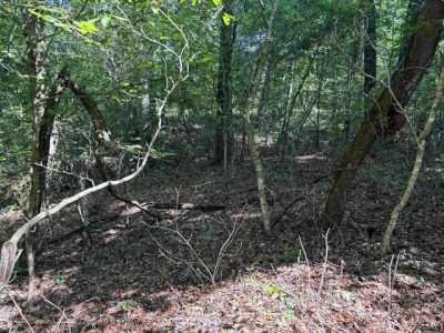 Residential Land For Sale in Pangburn, Arkansas