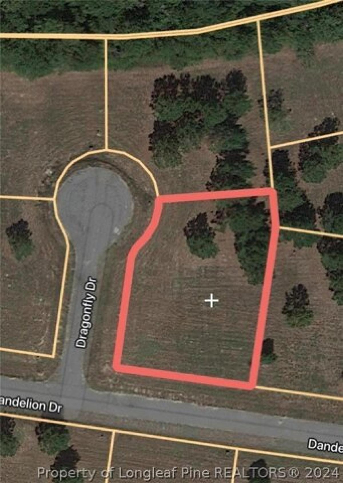 Picture of Residential Land For Sale in Lumberton, North Carolina, United States