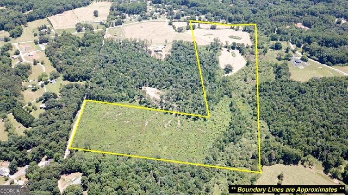 Picture of Residential Land For Sale in Mount Airy, Georgia, United States