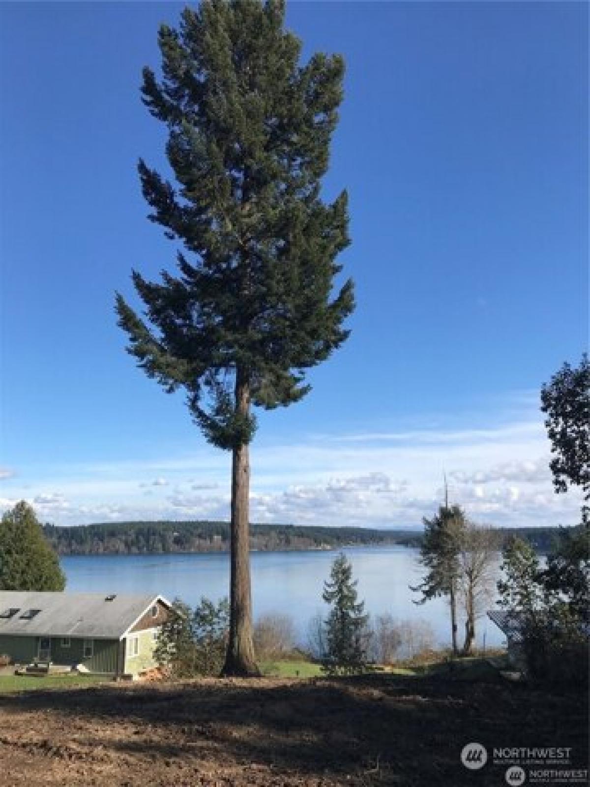 Picture of Residential Land For Sale in Longbranch, Washington, United States