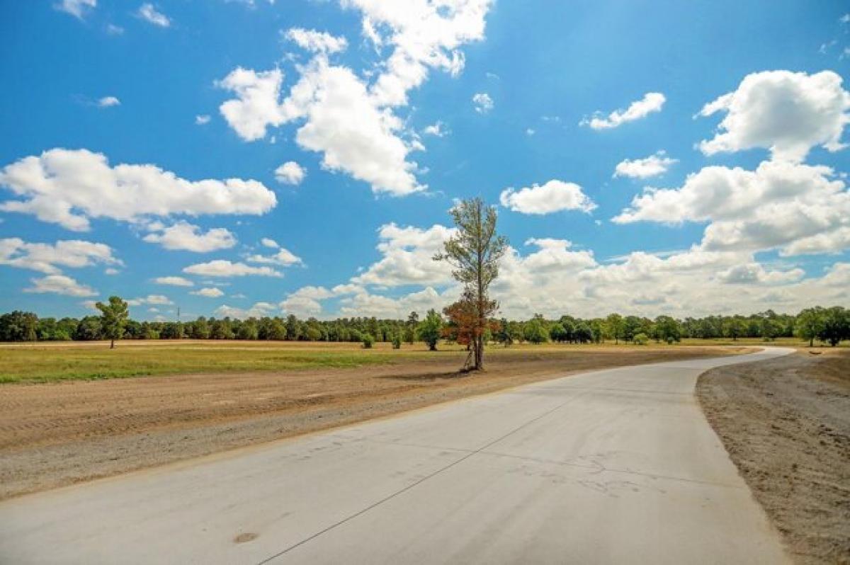 Picture of Residential Land For Sale in Hockley, Texas, United States