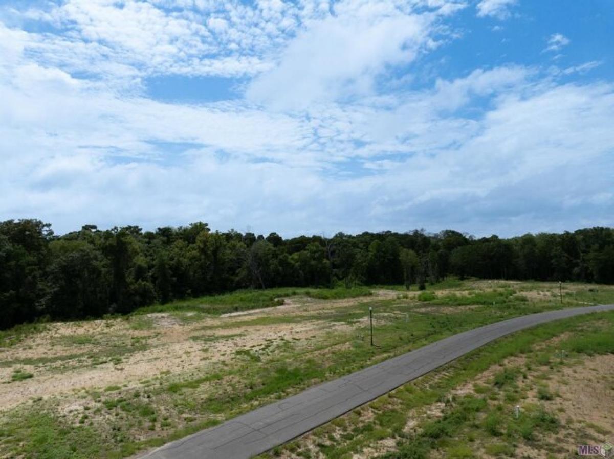 Picture of Residential Land For Sale in Prairieville, Louisiana, United States