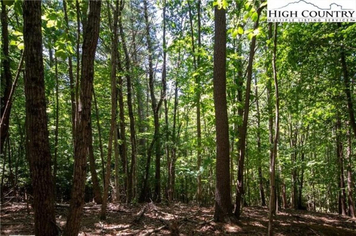 Picture of Residential Land For Sale in Lenoir, North Carolina, United States