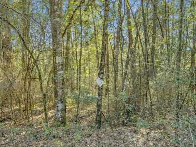 Residential Land For Sale in Ponce de Leon, Florida