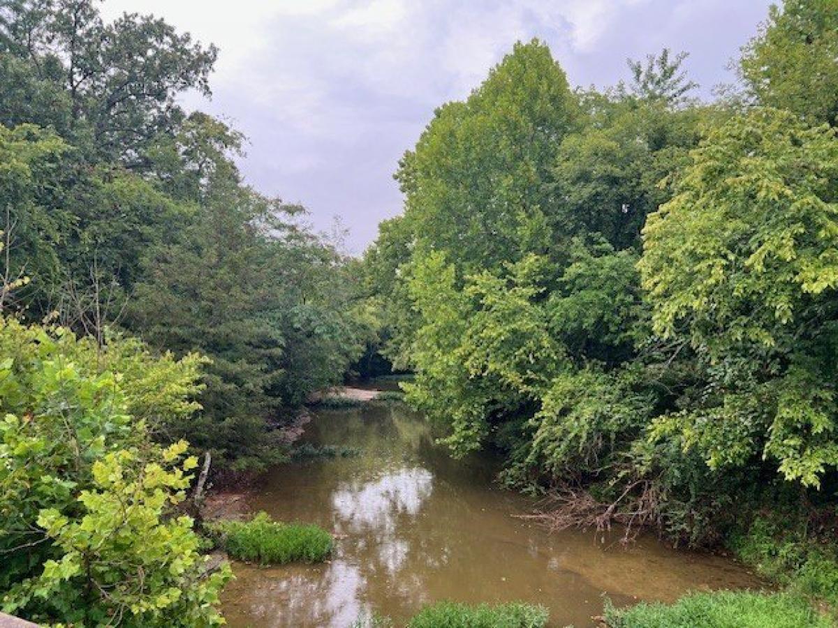 Picture of Residential Land For Sale in Chapel Hill, Tennessee, United States