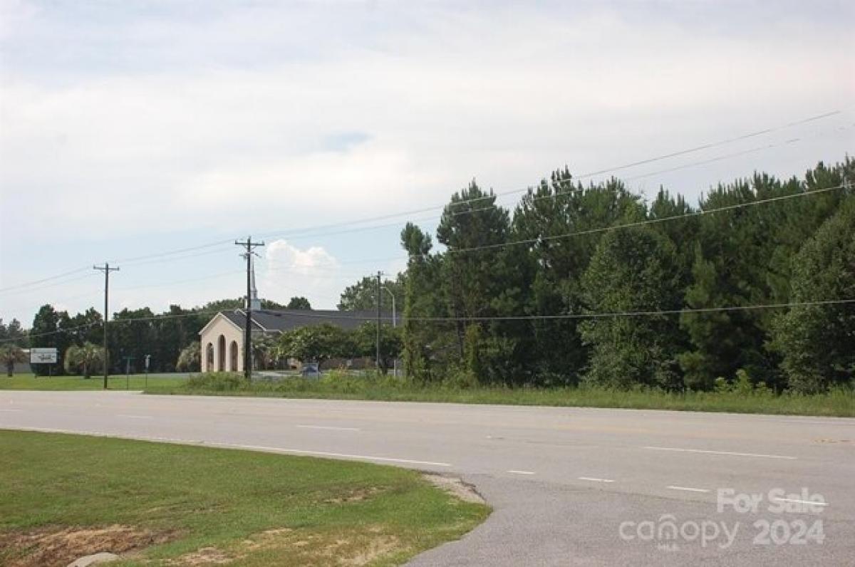 Picture of Residential Land For Sale in Cheraw, South Carolina, United States