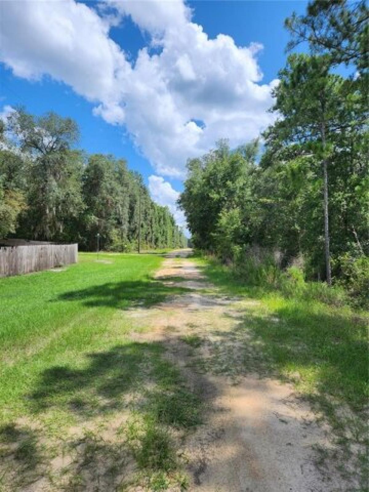 Picture of Residential Land For Sale in Florahome, Florida, United States