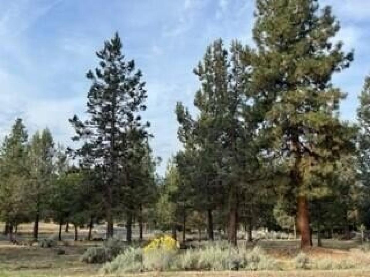 Picture of Residential Land For Sale in Klamath Falls, Oregon, United States