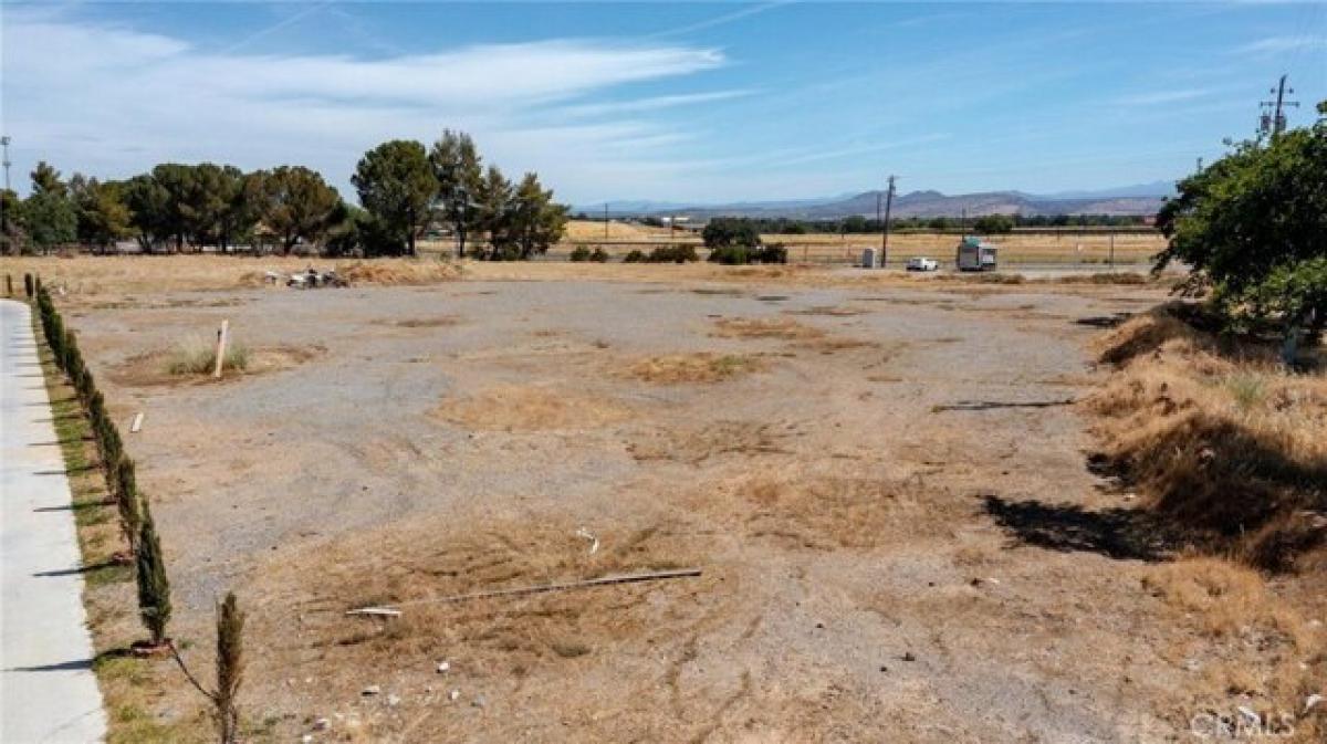 Picture of Residential Land For Sale in Red Bluff, California, United States