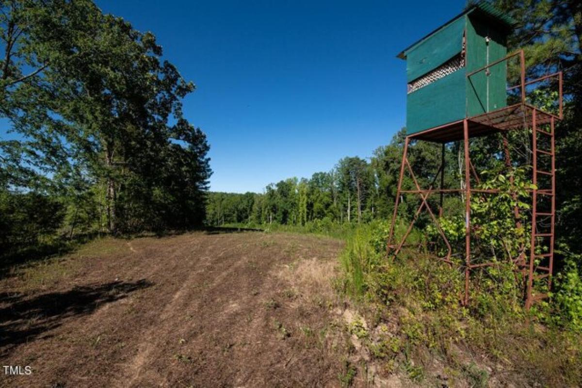 Picture of Residential Land For Sale in Ruffin, North Carolina, United States