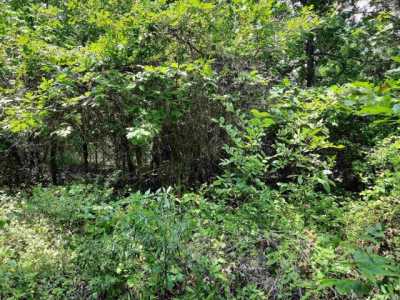 Residential Land For Sale in Mountain View, Arkansas