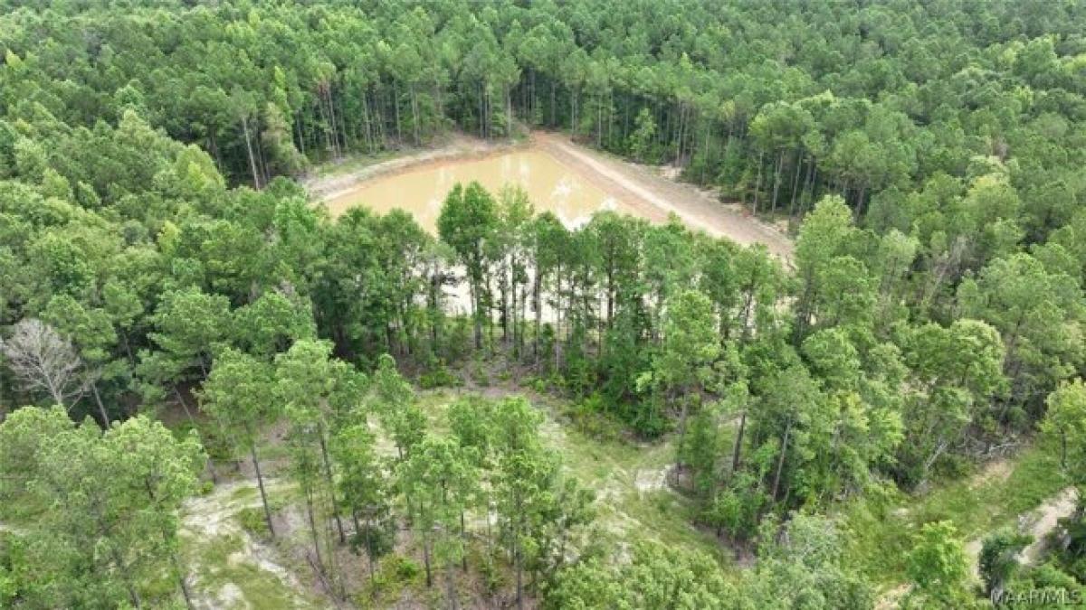 Picture of Residential Land For Sale in Union Springs, Alabama, United States