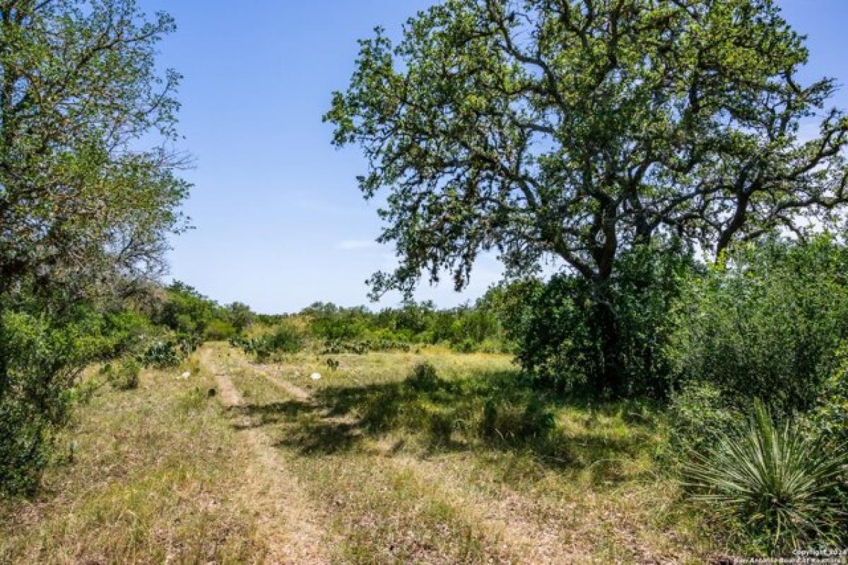 Picture of Residential Land For Sale in Hondo, Texas, United States