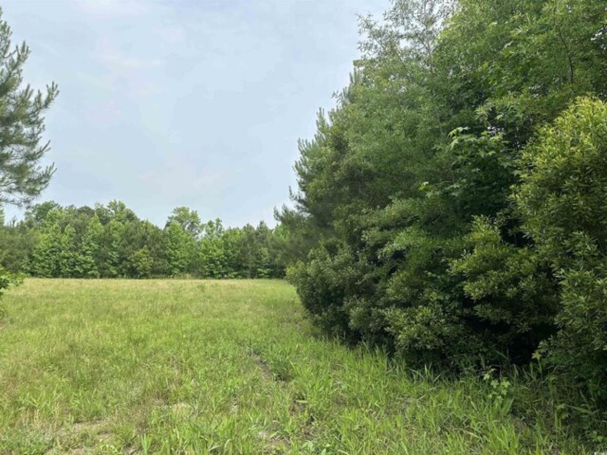 Picture of Residential Land For Sale in Kingstree, South Carolina, United States