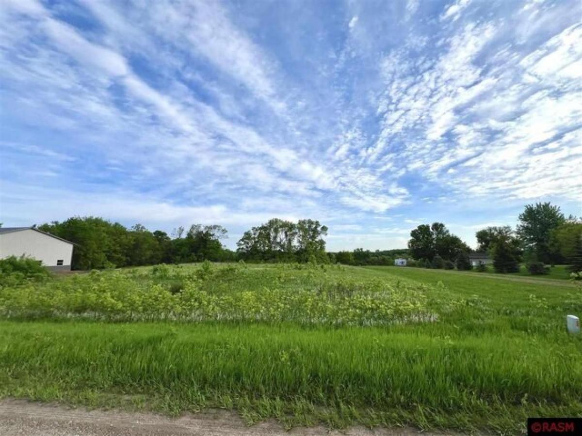 Picture of Residential Land For Sale in Elysian, Minnesota, United States