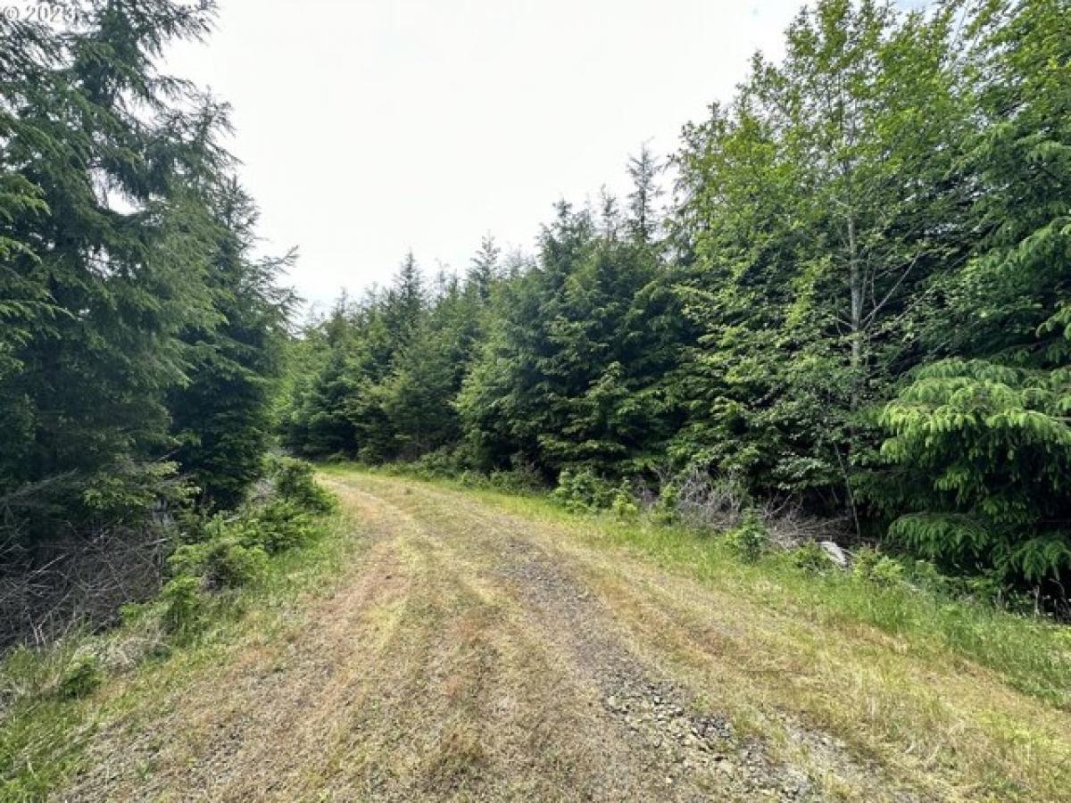 Picture of Residential Land For Sale in Seaside, Oregon, United States