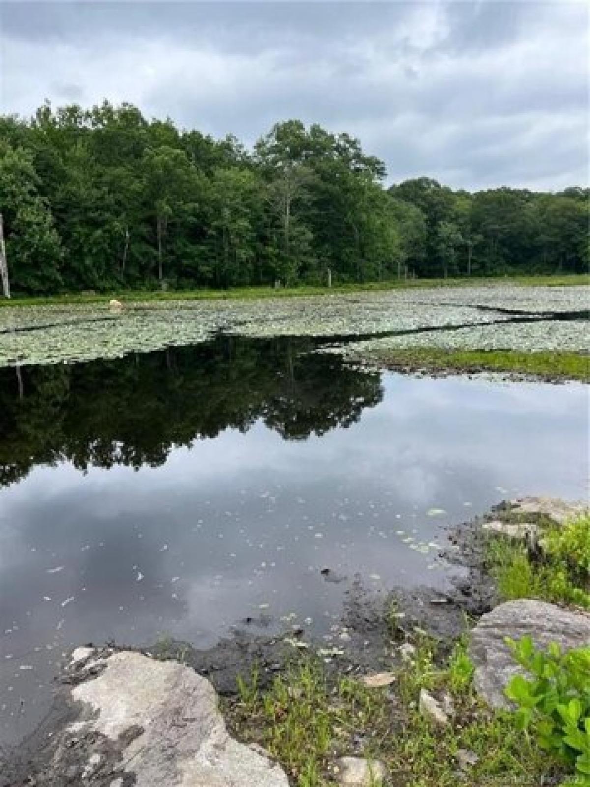 Picture of Residential Land For Sale in Plymouth, Connecticut, United States