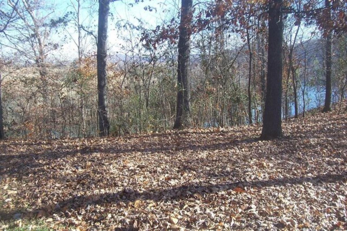 Picture of Residential Land For Sale in New Market, Tennessee, United States