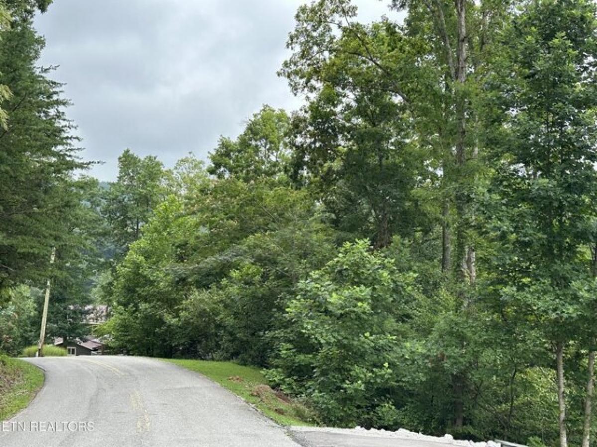 Picture of Residential Land For Sale in Caryville, Tennessee, United States