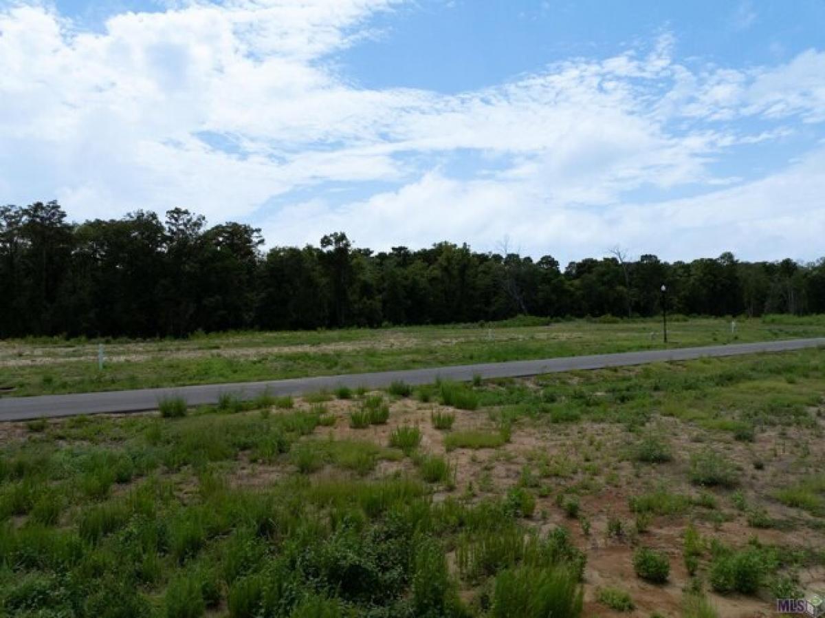 Picture of Residential Land For Sale in Prairieville, Louisiana, United States