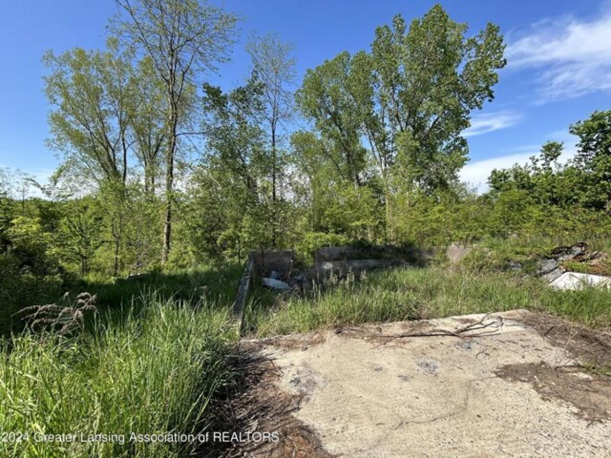 Picture of Residential Land For Sale in Woodland, Michigan, United States