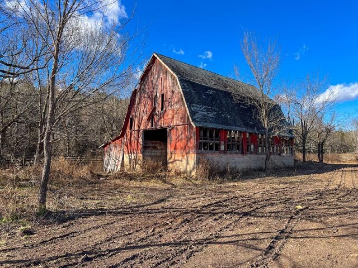 Picture of Residential Land For Sale in Gainesville, Missouri, United States