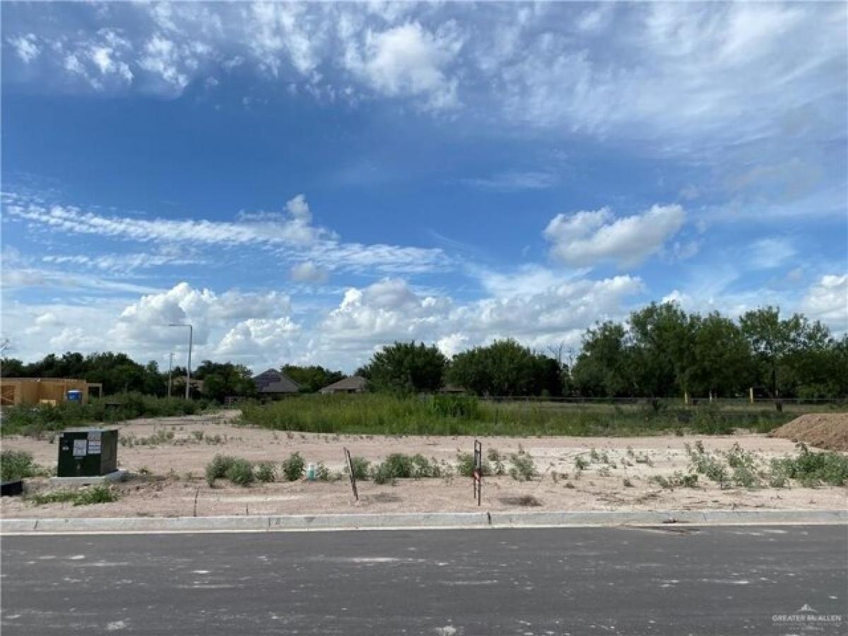 Picture of Residential Land For Sale in Mission, Texas, United States