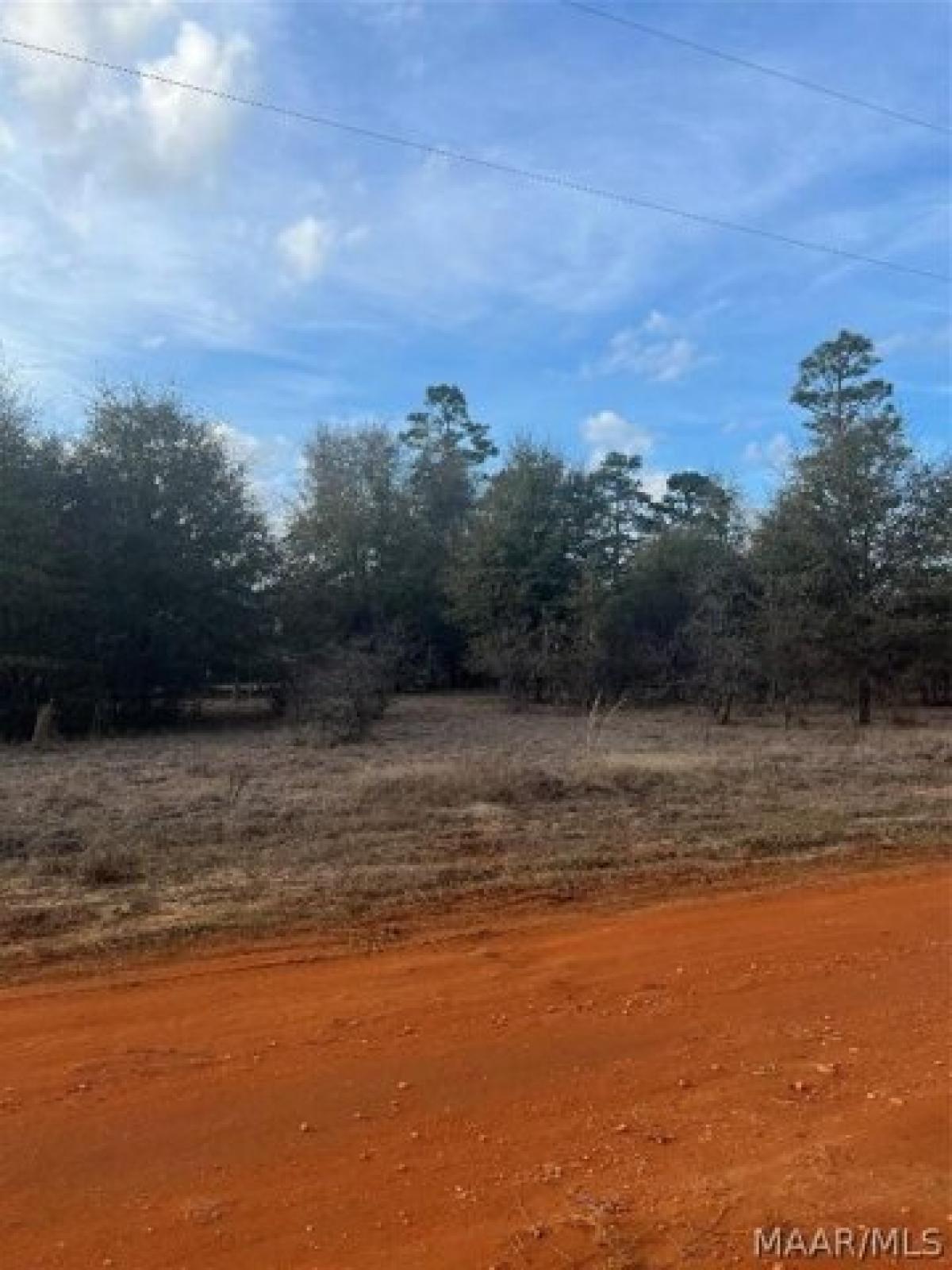 Picture of Residential Land For Sale in Camden, Alabama, United States