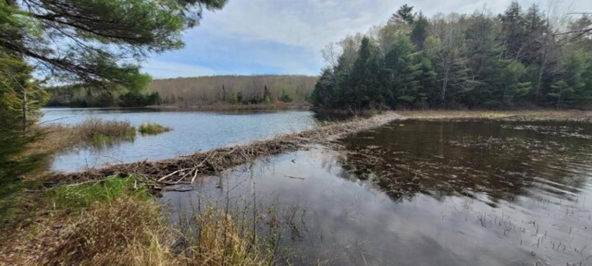 Picture of Residential Land For Sale in Clifton, Maine, United States