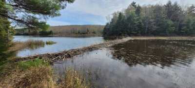 Residential Land For Sale in Clifton, Maine