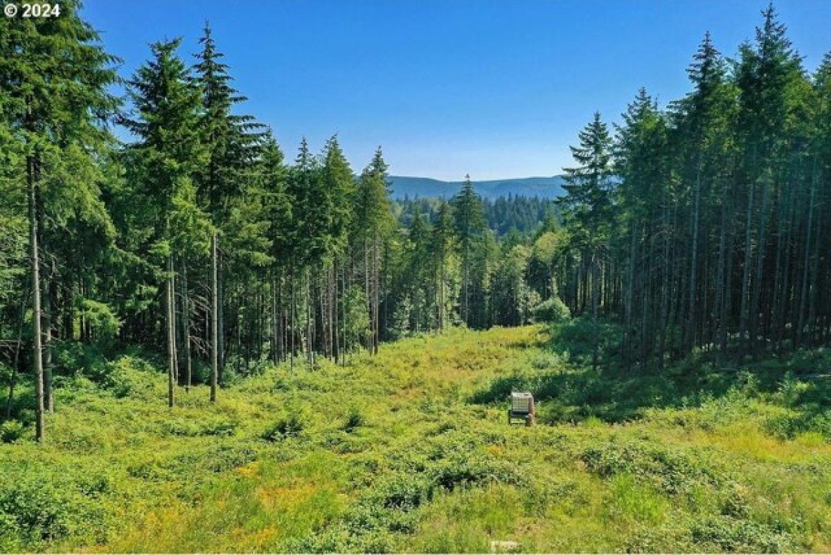 Picture of Residential Land For Sale in Longview, Washington, United States