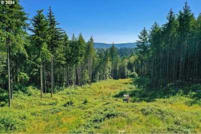 Residential Land For Sale in Longview, Washington