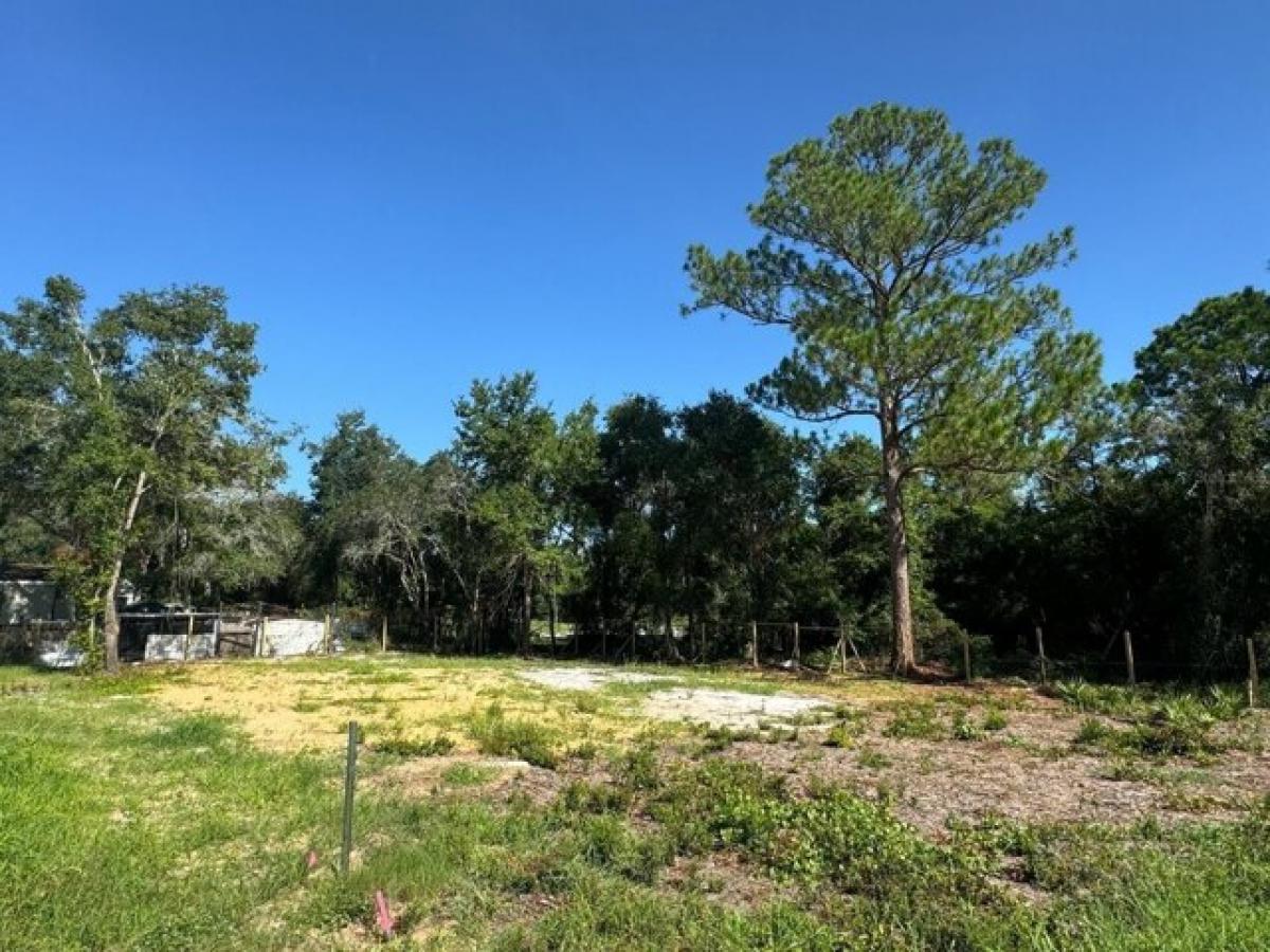 Picture of Residential Land For Sale in Haines City, Florida, United States