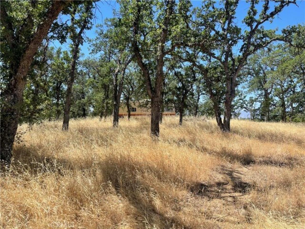 Picture of Residential Land For Sale in Corning, California, United States