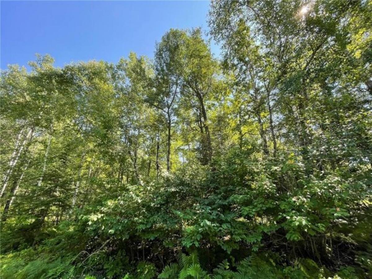 Picture of Residential Land For Sale in Bemidji, Minnesota, United States