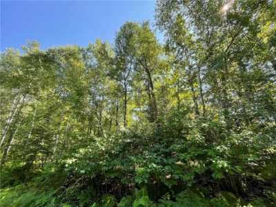 Residential Land For Sale in Bemidji, Minnesota