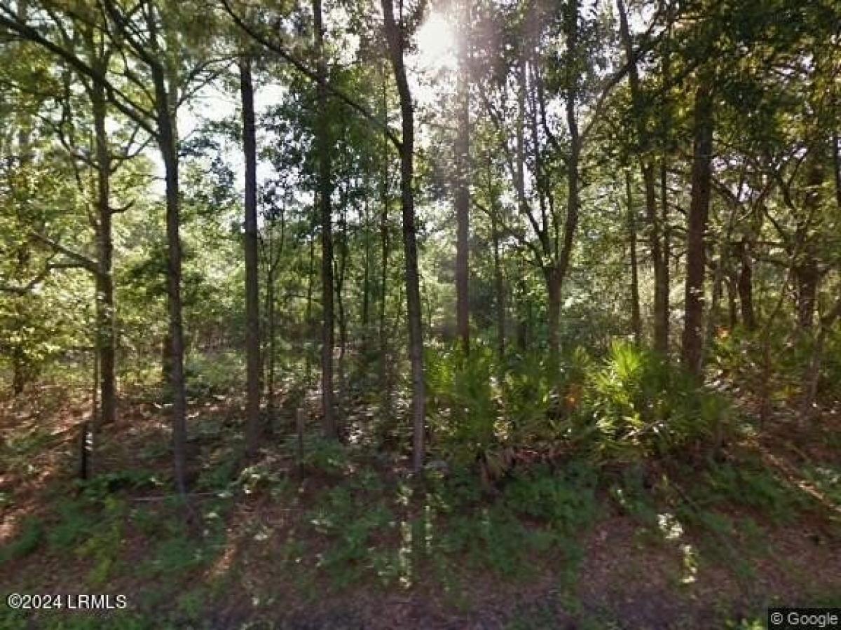 Picture of Residential Land For Sale in Bluffton, South Carolina, United States