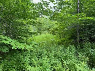 Residential Land For Sale in 