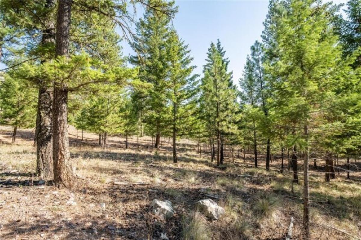 Picture of Residential Land For Sale in Clinton, Montana, United States