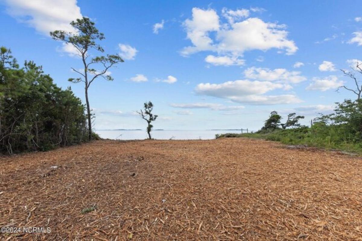 Picture of Residential Land For Sale in Cedar Island, North Carolina, United States