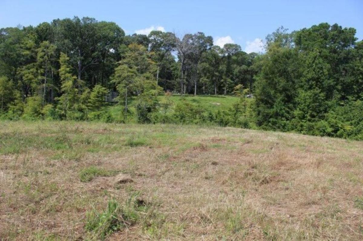 Picture of Residential Land For Sale in Zwolle, Louisiana, United States